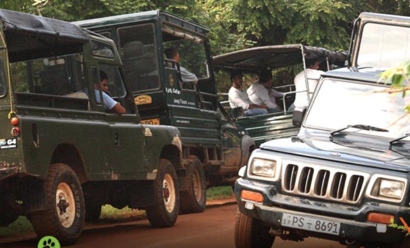 Yala Leopard Lodge Екстер'єр фото